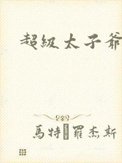超级太子爷封面