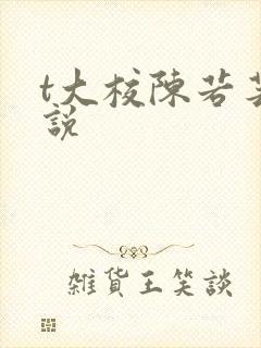 t大校陈若芸小说封面