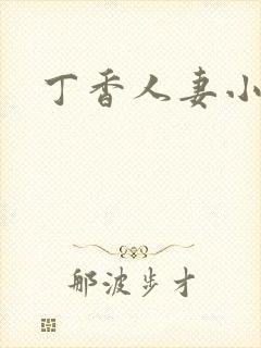 丁香人妻小说封面
