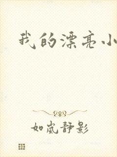 我的漂亮小后妈