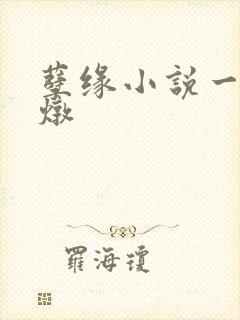 孽缘小说一家乱炖