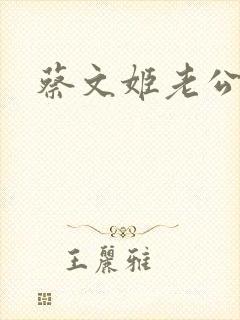 蔡文姬老公