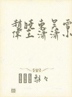 赵晓东吴雪晴郑伟王潇潇小说名字