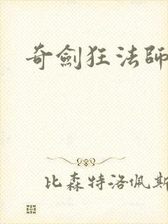 奇剑狂法师