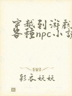 穿越到游戏里和各种npc小说