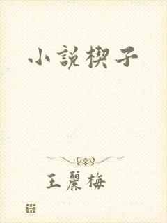 小说楔子