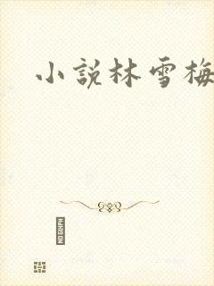 小说林雪梅