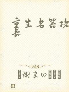 重生名器攻略兄长