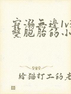 宠溺无边1v3双胞胎的小说