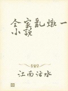 全家乱炖一锅烩小说