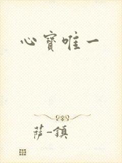 心宝唯一