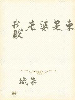 我老婆是东方不败