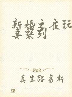 新婚之夜玩弄人妻系列封面