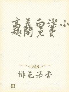高义白洁小说笔趣阁免费封面