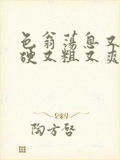 色翁荡息又大又硬又粗又爽电影