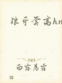 狼牙套高hnp