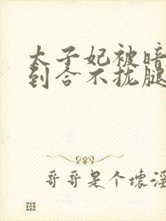 太子妃被暗卫C到合不拢腿