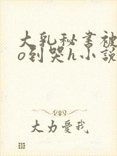大乳秘书被cao到哭h小说