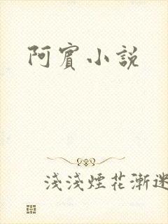 阿宾小说封面