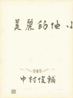 美丽的他 小说封面