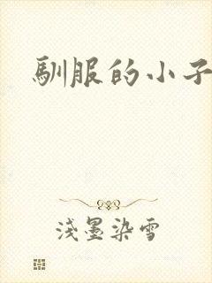 驯服的小子4