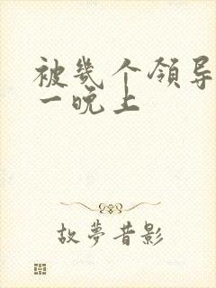 被几个领导玩弄一晚上