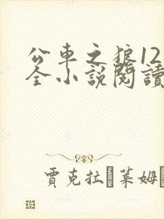 公车之狼12集全小说阅读