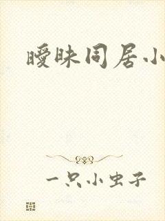 暧昧同居小说
