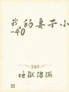 我的妻子小谨1-40