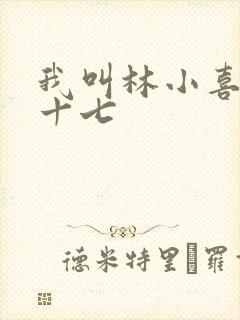 我叫林小喜今年十七
