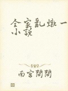 全家乱炖一锅烩小说