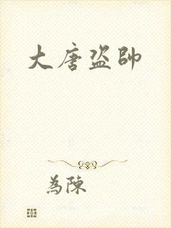 大唐盗帅