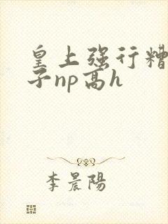 皇上强行糟蹋太子np高h封面