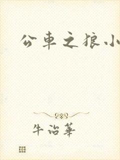 公车之狼小说