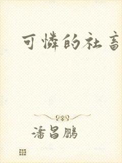 可怜的社畜