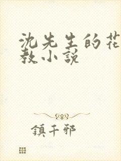 沈先生的花式调教小说