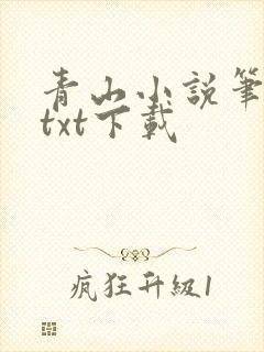 青山小说笔趣阁txt下载