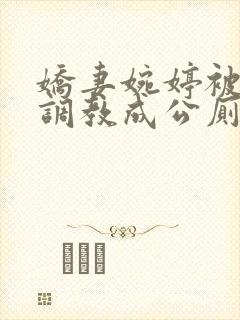 娇妻婉婷被黑人调教成公厕小说封面