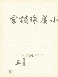 宫锁珠帘小说