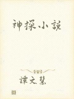 神探小说封面