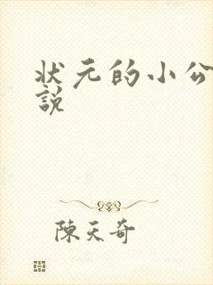 状元的小公主小说