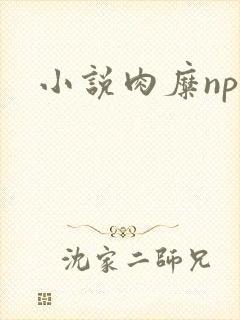 小说肉糜np