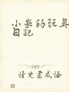 小米的玩具羞辱日记