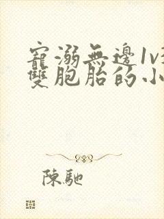 宠溺无边1v3双胞胎的小说