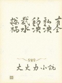 总裁的私有宝贝祸水泱泱全文阅读