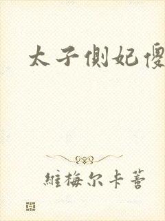 太子侧妃傻乎乎