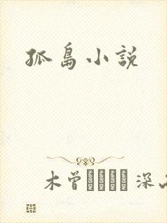 孤岛小说