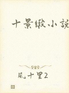 十景缎小说封面