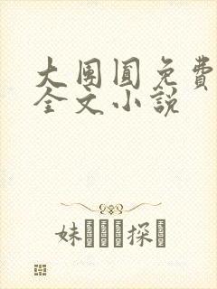 大团圆免费阅读全文小说