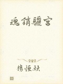 魂销骊宫封面